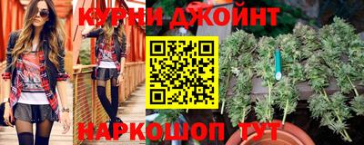 шишки Лесосибирск