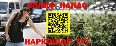 шишки Лесосибирск