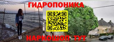шишки Лесосибирск