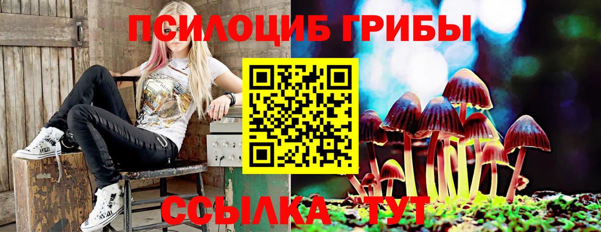 Ирбит  продажа наркотиков  Галлюциногенные грибы ЛСД  Вход с VPN  Псилоцибиновые грибы прущие грибы 